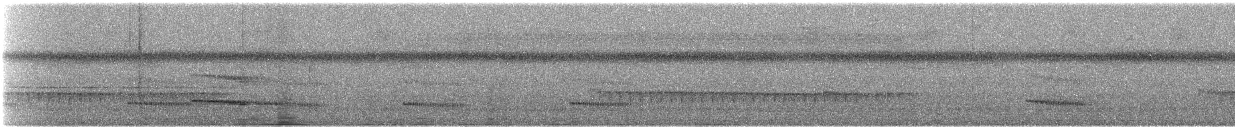 Microtyran oreillard - ML509556311