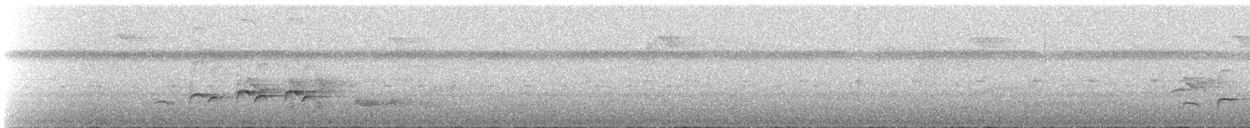 Willis's Antbird - ML509556631