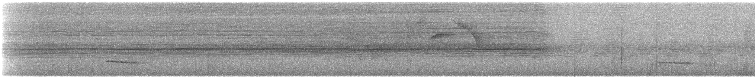 Microtyran oreillard - ML509560501