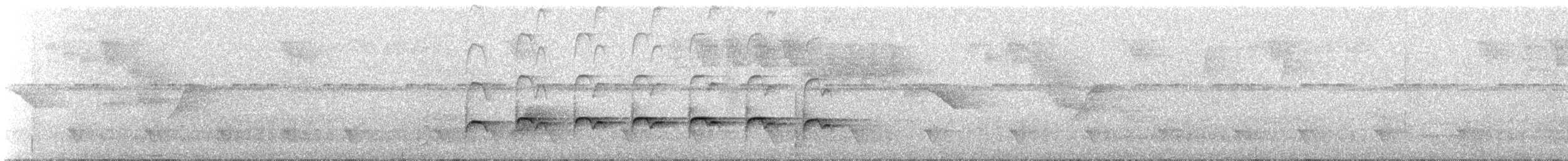 Willis's Antbird - ML509604341