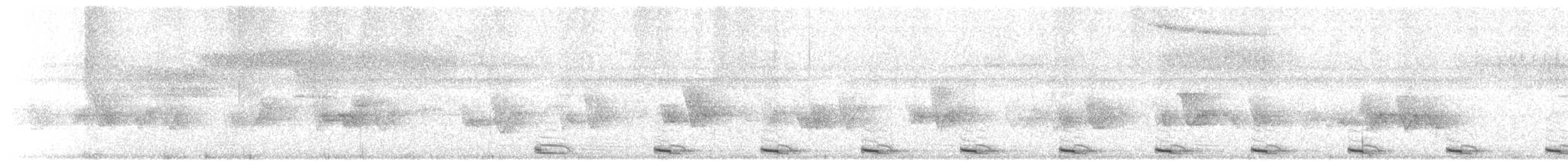 ギンムネカッコウ - ML509609941