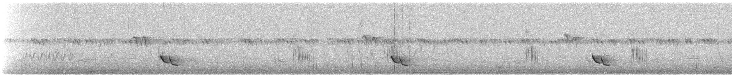 Langschnabel-Zaunkönig - ML509612101