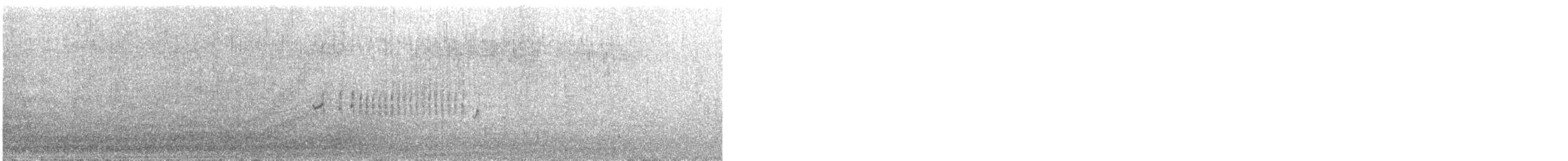Патагонская трясохвостка - ML509630361