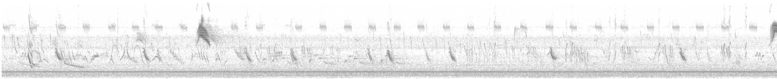 Schieferrücken-Königstyrann - ML509631611