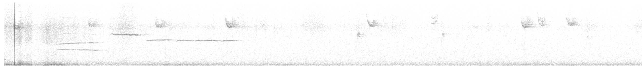 Белогорлая зонотрихия - ML50966061