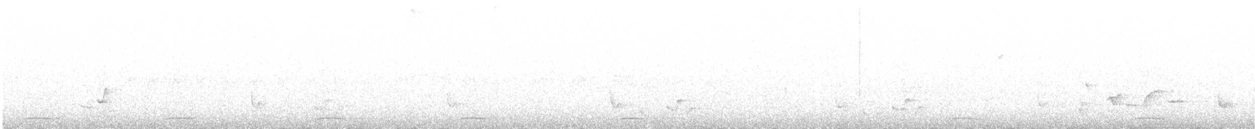 holub kostarický - ML509665561