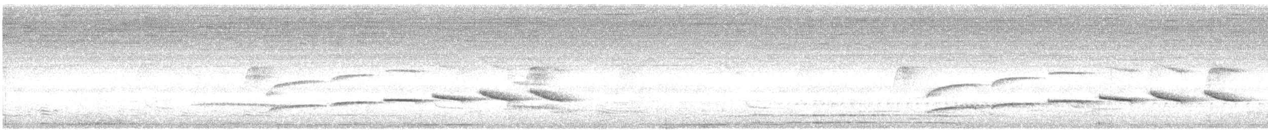 gråhodetreløper (griseicapillus gr.) - ML509704211