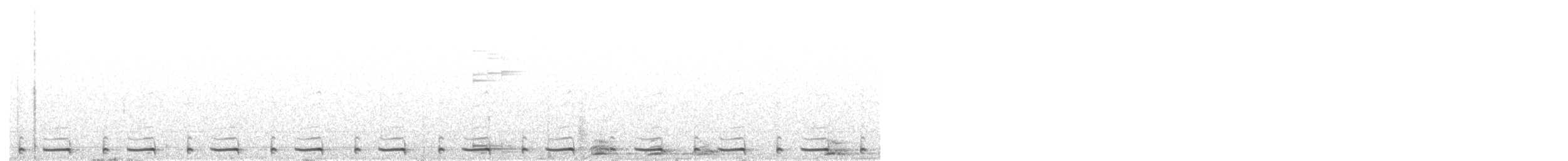 Серогрудый зобатый бегунок - ML509775871