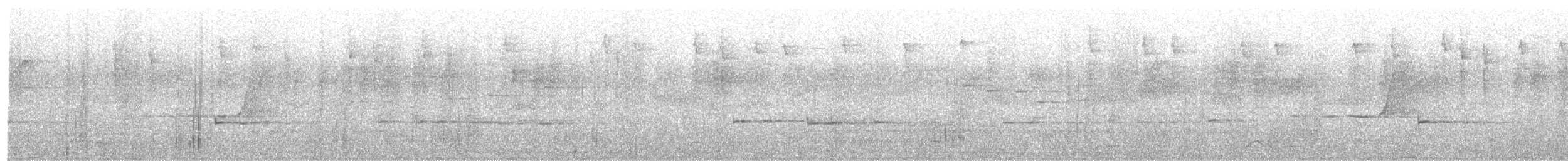 Méliphage à sourcils noirs - ML509802101