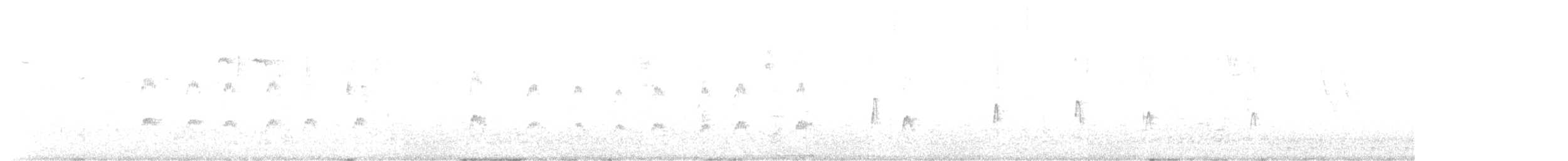 Плавунець плоскодзьобий - ML509889781
