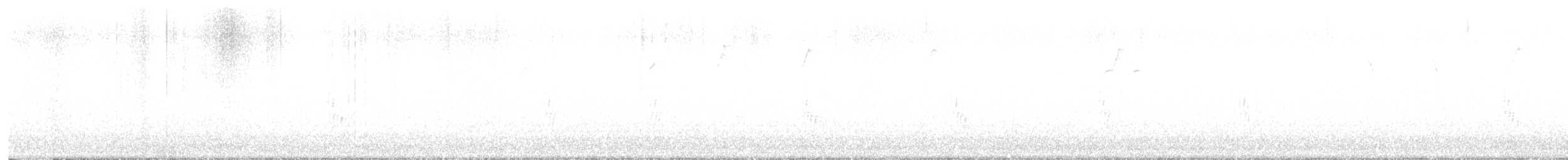 Поплітник каролінський - ML510040611