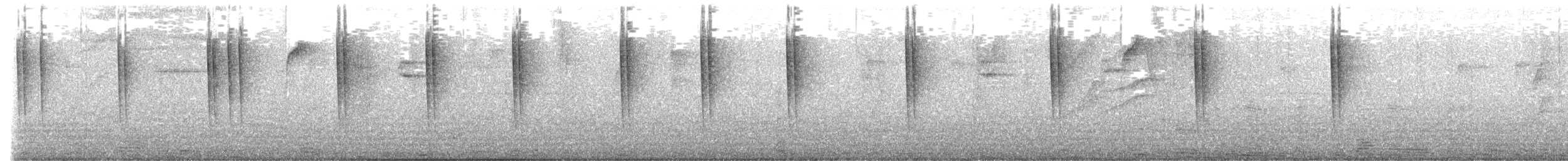 Violettdegenflügel - ML510043301