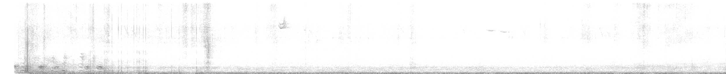 オビハシカイツブリ - ML510073361