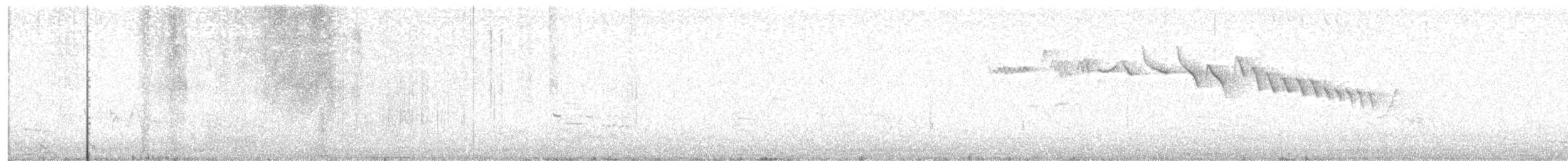 Grimpereau des bois - ML51008021