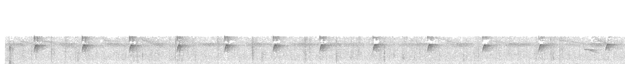 hvitbrilleløvgransker - ML510102461