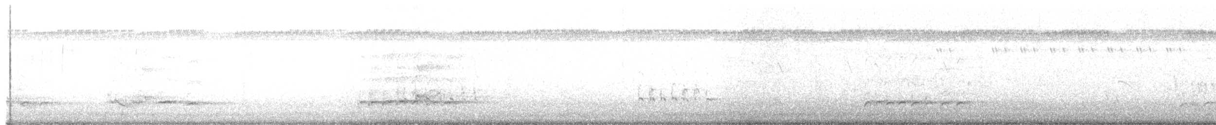 チュウシャクシギ（variegatus） - ML51010481