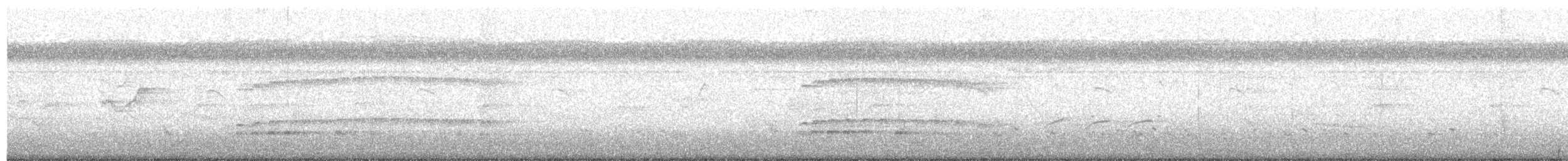 Средний кроншнеп (сибирский) - ML51010491