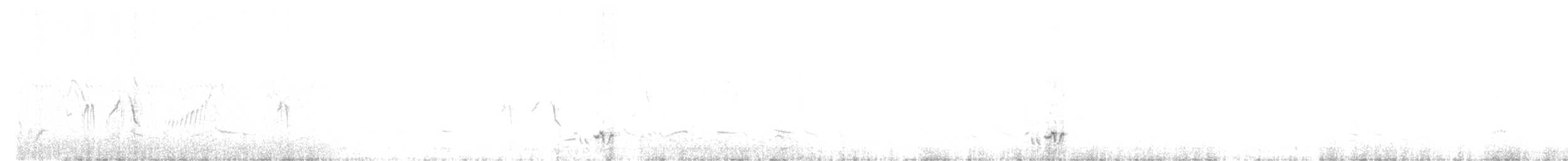 Afrika Çıplak Gözlü Ardıcı - ML51011181