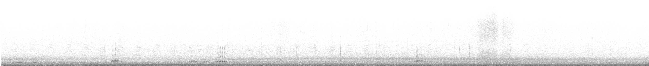 Лебідь чорнодзьобий - ML510112391