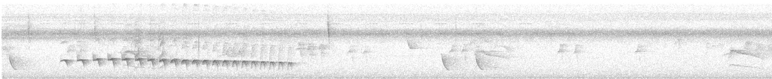 Schwarzkopf-Ameisenschnäpper - ML510154831