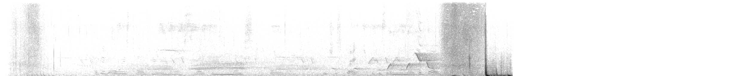 Серогрудый питуи - ML510211261