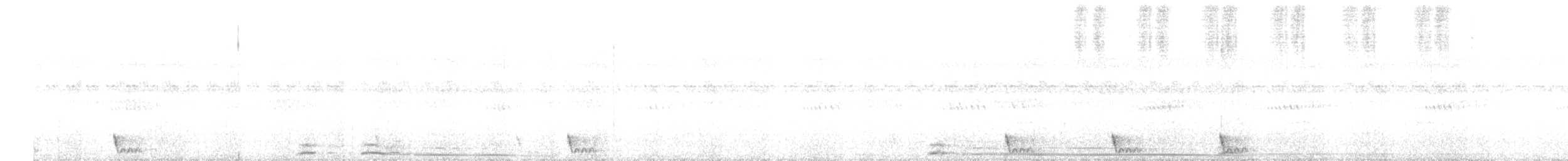 Large-tailed Nightjar - ML510233381
