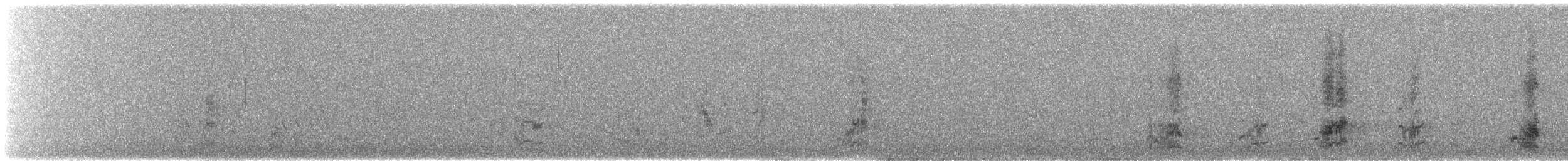 svarthaleparakitt - ML510238451