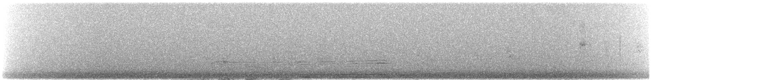 Malleefowl - ML510240351