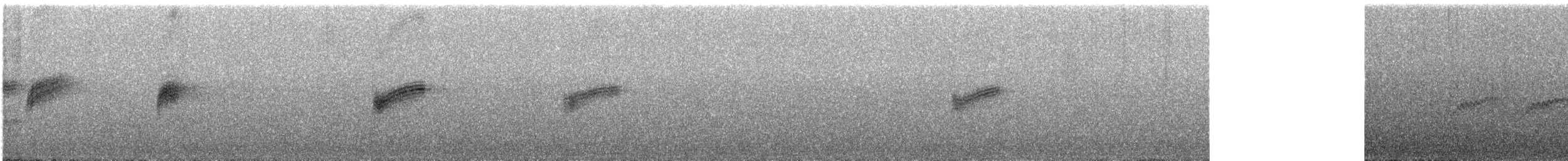 Mirlo Acuático Pardo - ML510241351