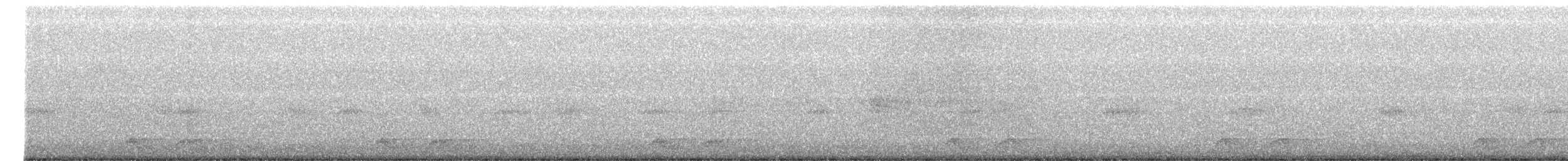 Fleckennachtschwalbe - ML510299671