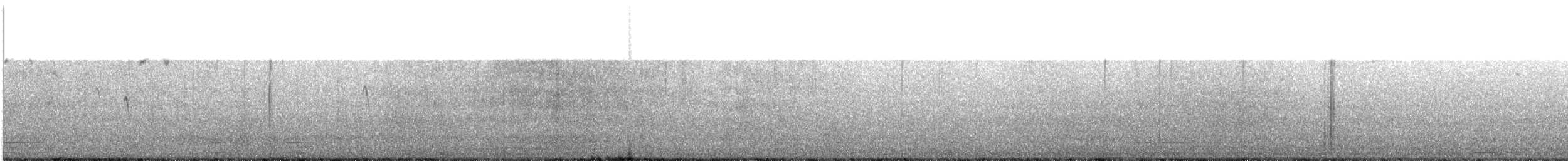 Светлобрюхий фиби - ML510333071