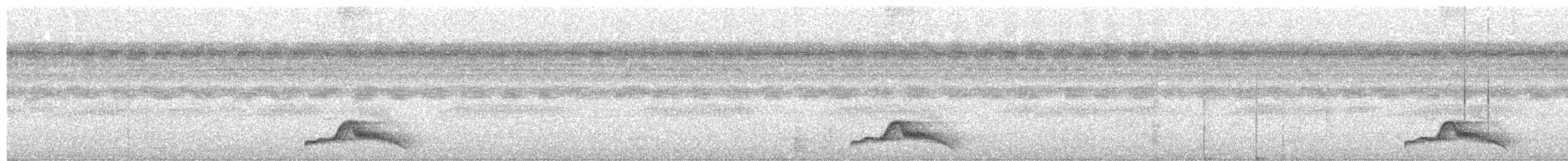 Pauraquenachtschwalbe - ML510349771