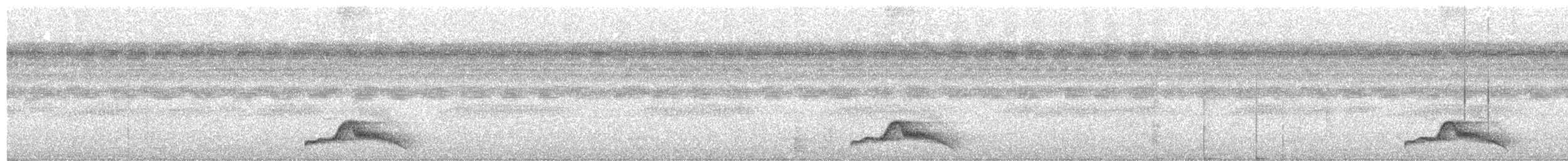 Common Pauraque - ML510349771