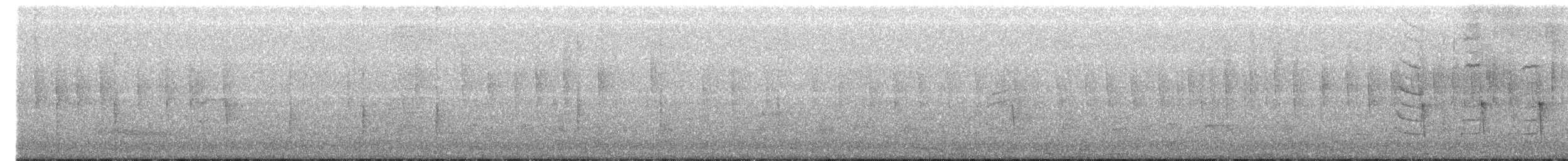Camaroptère à tête grise (groupe brevicaudata) - ML510354281