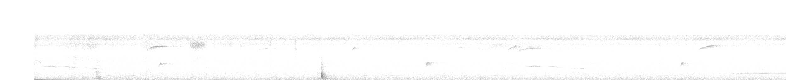 White-throated Tinamou - ML510366251