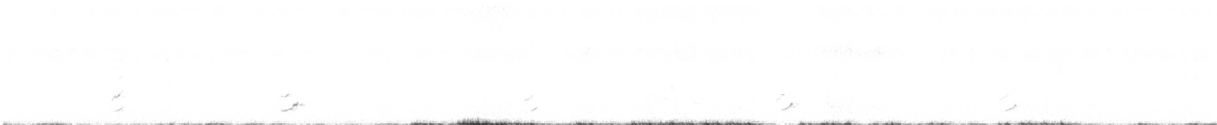 Чёрный шелкохвост - ML510382101