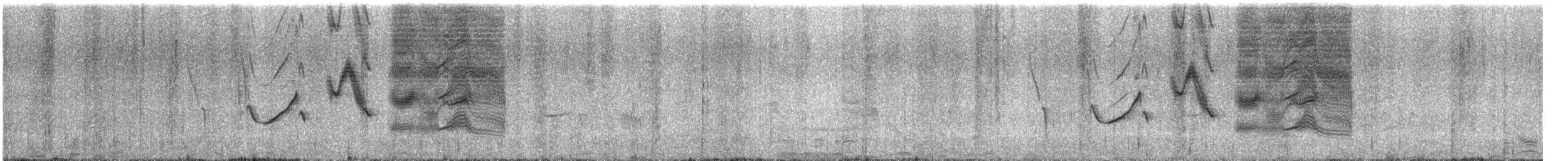 Long-tailed Meadowlark - ML510387471