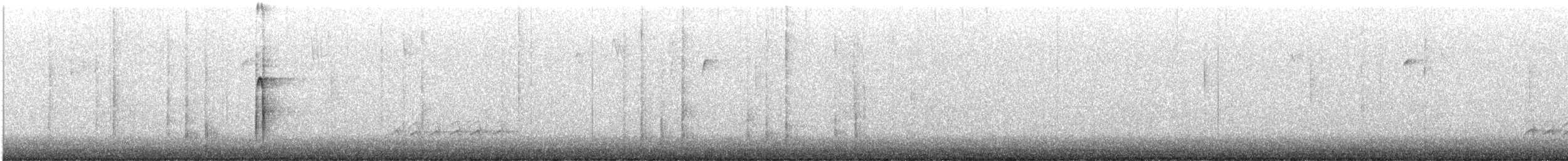 Hairy Woodpecker (Eastern) - ML510438351