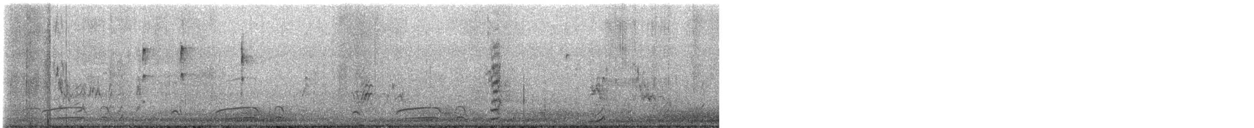 Gambel's Quail - ML510449481