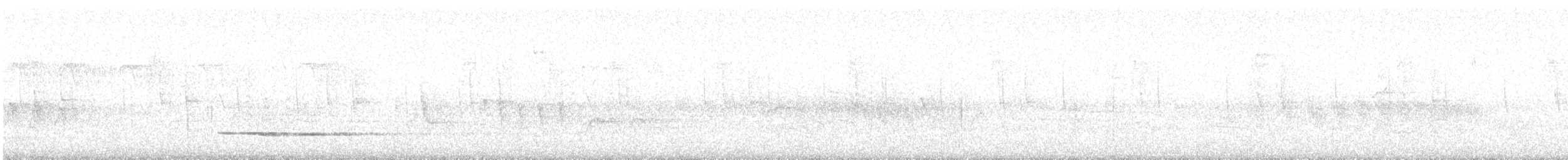 Little Tinamou - ML510474421