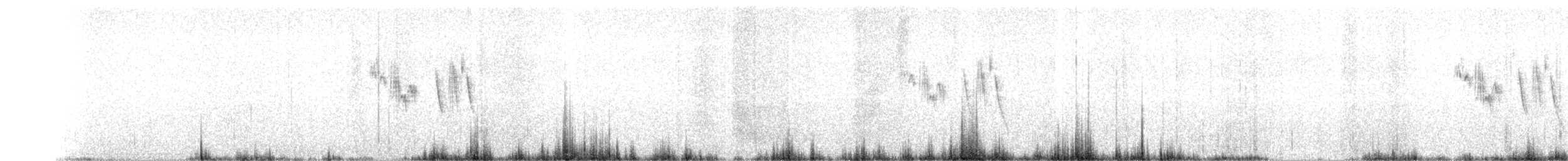 pipit sp. - ML51047581