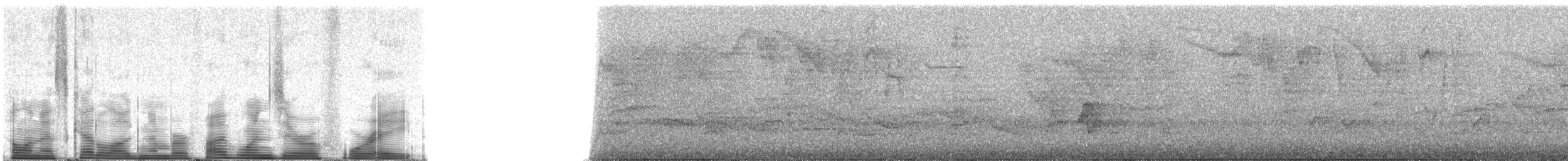 Lesser Antillean Swift - ML51048