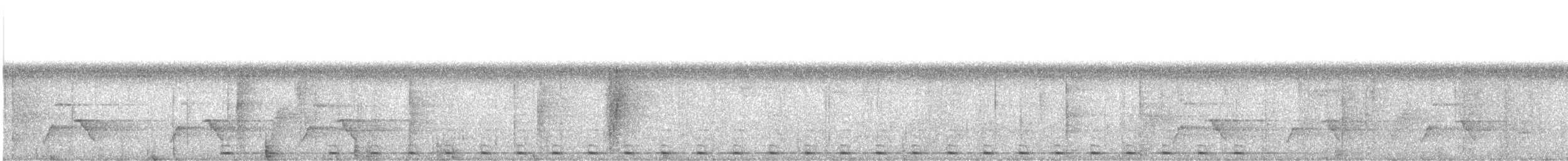 Red-crowned Barbet - ML510485981