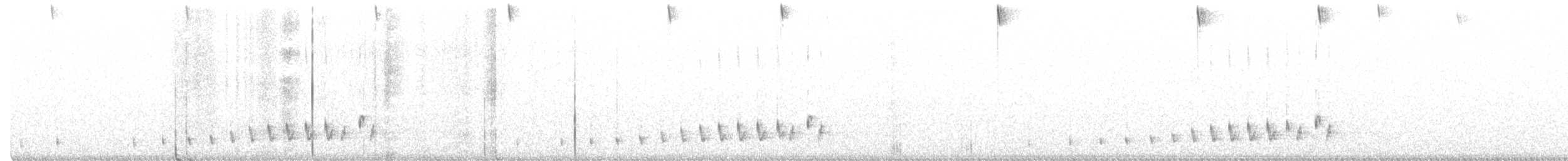 Braunhals-Nachtschwalbe - ML510507511