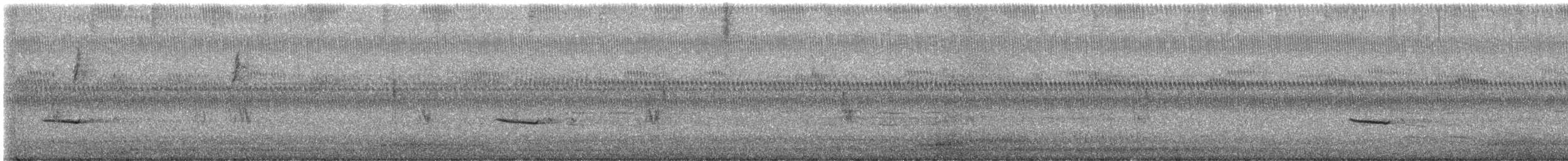 Дрізд-короткодзьоб плямистоволий - ML510511951