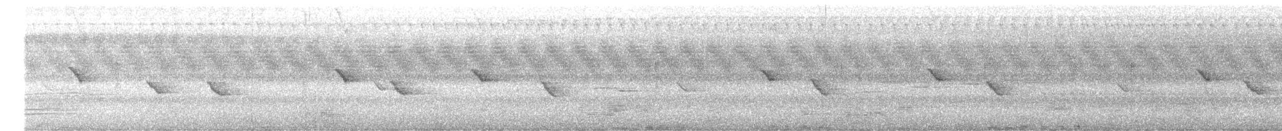 Chevêchette de la Sonde - ML510575481
