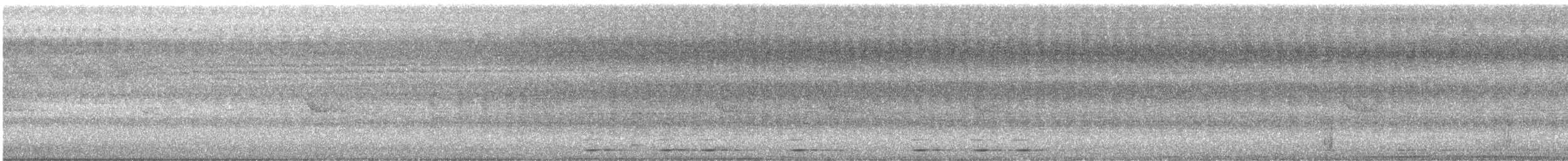 Chevêchette de la Sonde - ML510575511