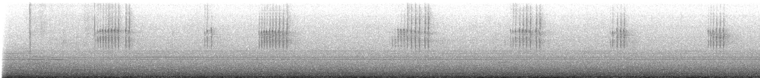 タイヘイミソサザイ／フユミソサザイ - ML510579931