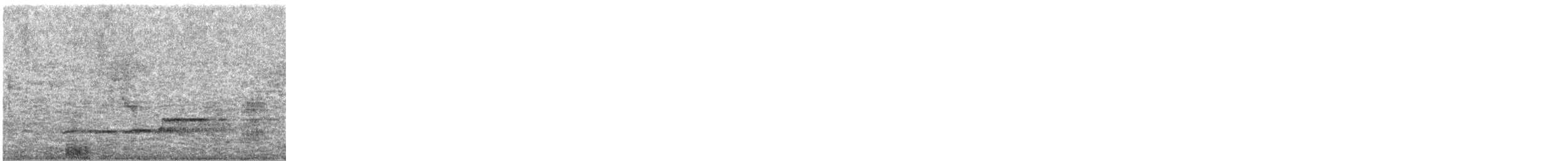 buse ou aigle sp. - ML510587211