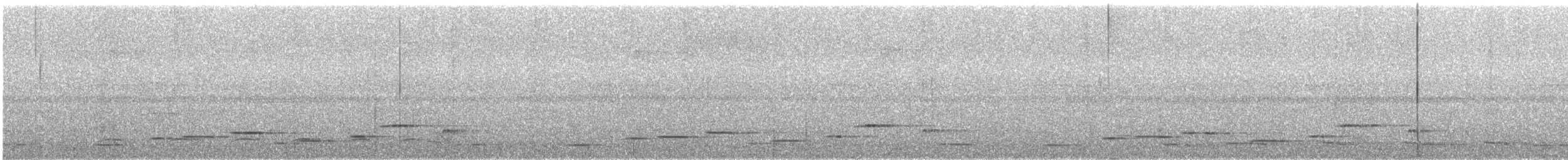 Troglodyte arada (salvini) - ML510591671